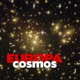 Cosmos Single