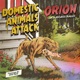 Domestic Animals Attack