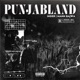 PUNJABLAND feat Mann Bajwa Single