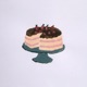 Piece of Cake Single