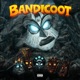 Bandicoot feat ANGELSWING Sam Ro Single
