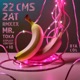 22 CMS Single