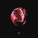 Melted Ideals Single
