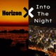 Horizon Into the Night