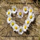 If You Could Have Stayed feat Marco Adam Tabb Single