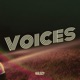 Voices Single