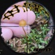 Hunter EP