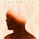 Tulip Single