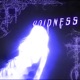 Voidness Single