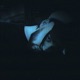 Atlantis Single