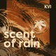 Scent of Rain Single