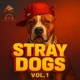 STRAY DOGS Vol 1 feat CABU Santi king Aterrante Letal max Mr William Valentino flow YAIL EL FLOW INMINENTE KENNEDY BLAST El maick Gabiinho 507 EP