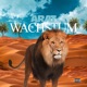Wachstum Single