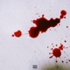 Bleeding Out Single
