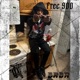 Free 900 Single