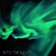 Into the Light Single