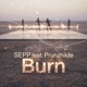 Burn feat Prunzhilde Single
