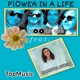 Flower in a Life feat Sabryna Syrio Single