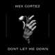 Don t Let Me Down Single