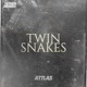 Twin Snakes Single