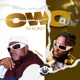 Owo Ni Koko feat Haeman Single