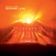 Sonne Live