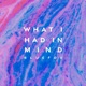 What I Had In Mind feat Philip Larsen Kimera Morrell Single