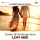 Tumko Hi Chahenge Hum Lofi Mix Single