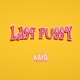 Last P y Single