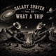 What a Trip feat Ed Single