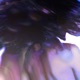 Volar Single
