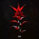 Raging Demon Single