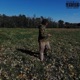 On Demand Single