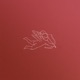Cupid Single