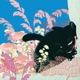 Jigoo Radio Edit Single