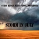 Storm in July Single