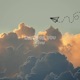 Wait For You Single