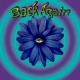 Back Again feat E Wave Kritzard Single