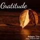 Gratitude Single