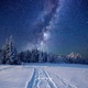 Snowy Stars in 2020 Single