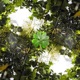 self forgiveness feat arid Single