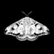 Emetic XXVIII Lows Remixes Single