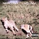 FLIPDAT feat Furkan OZCAN Single