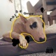 Mal de Amor EP
