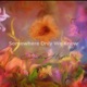Somewhere Only We Know Piano Version Single