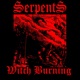 Witch Burning Single