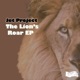 The Lion s Roar Single