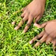 Touching Grass Single