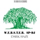 Dark Haze Single