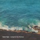 Searching for Shoals Karen Vogt Remix Single